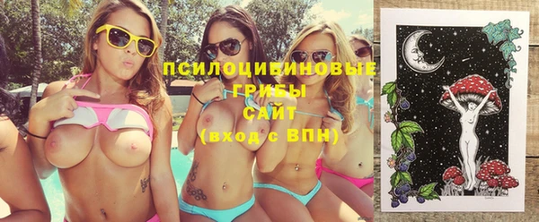 2c-b Алзамай
